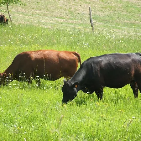 Farm stay Park Monastero *