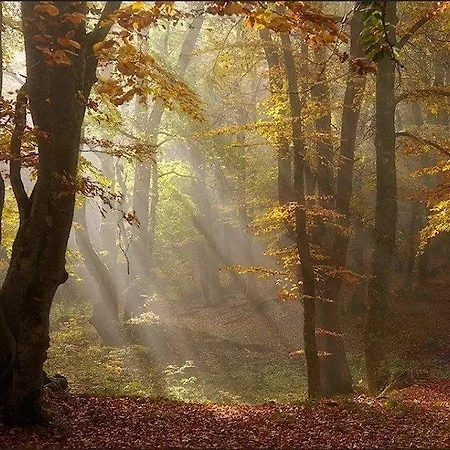 Park Monastero *